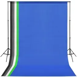 vidaXL Fotostudio Set 1,6x3m mit 5 Hintergründen - Hintergründe für Fotostudios, flexibles System mit 5 variablen Hintergründen und Tragetasche für einfachen Transport – ideal für Portrait- und Produktfotografie.