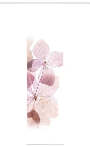 HOME WOHNIDEEN Schiebegardine BONITA - Leinenstruktur in Rosé - Schiebegardine aus 100% Polyester, Maße: 60x245 cm, ideal für stilvolle Raumgestaltung – inklusive Zubehör und pflegeleicht bei 30° Schonwaschgang.