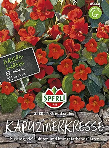 Kapuzinerkresse Orientzauber