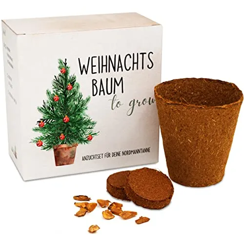 Tannenbaum Geschenk Set