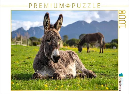 CALVENDO Puzzle Mittagspause