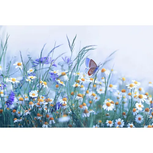 CoverYourDesk Schreibtischunterlage Wiesenblumen (21557500) - Vibrante Schreibtischunterlage mit Wiesenblumen-Motiv für einen kreativen Arbeitsplatz. Schützt die Oberfläche und sorgt für eine angenehme Atmosphäre beim Arbeiten.