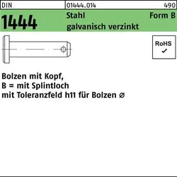 Reyher Bolzen DIN1444 St. B 18 h11x65x58 vz - 10 Stück - Hochwertige Bolzen für vielseitige Anwendungen, packungsweise zu 10 Stück, mit robustem Design für zuverlässige Verbindungen.