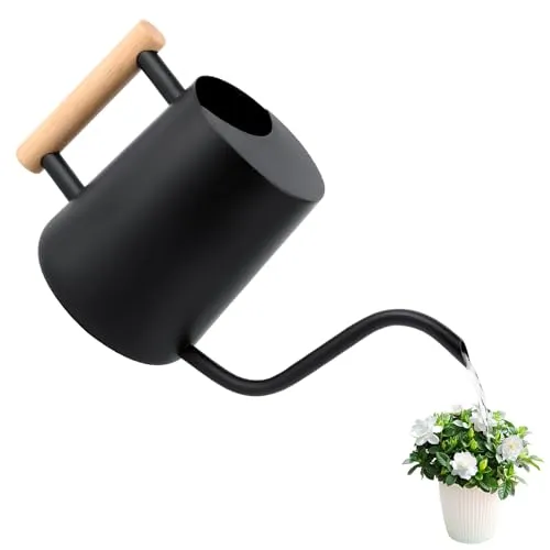 Gießkanne 1L,Giesskanne Zimmerpflanzen Klein Indoor,Giesskanne mit langem Auslauf und komfortablem Holzgriff,Edelstahl Gieskanne Schwarz für Topfpflanzen Sukkulenten,Metall Gartengießkanne für innen
