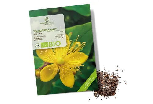 Growgreens Kräutersamen BIO Johanniskraut Samen - Heilkräuter Saatgut bio. Anbau (300 Korn)