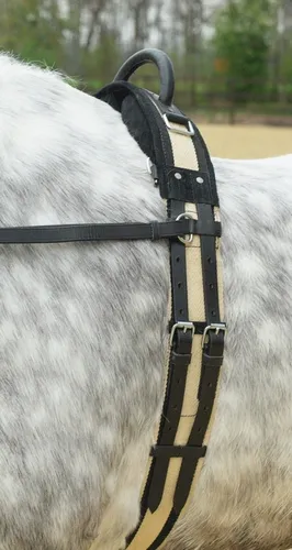 Longiergurt mit Handgriff - BUSSE Longiergurt mit Handgriff, ideal für das Training von Minishettys, bietet optimale Kontrolle und Komfort beim Longieren.