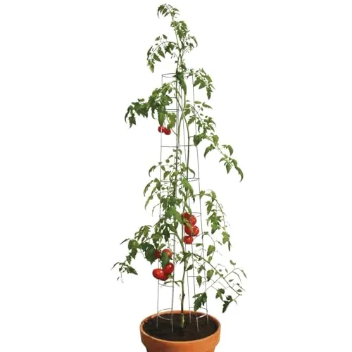 bellissa Tomaten Rankhilfe aus Stahl 120cm – Stabiler Tomatenturm für Garten & Hochbeet - Die 120 cm hohe Tomaten Rankhilfe bietet stabilen Halt für Tomaten und Gurken. Wetterfestes, verzinktes Stahlgestell sorgt für Langlebigkeit und einfache Montage. Ideal für platzsparendes Wachstum in kleinen Gärten.