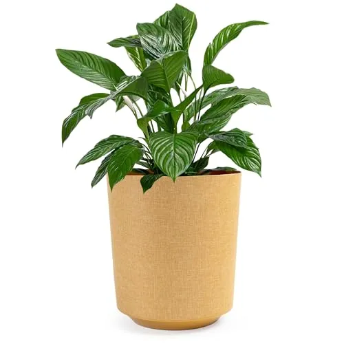 Blumentöpfe & Pflanzgefäße Gelb von Konzept