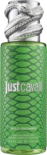 Roberto Cavalli Düfte von Roberto Cavalli