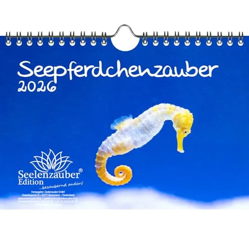 Seepferdchenzauber DIN A5 Kalender für 2026 Unterwasser - Seelenzauber