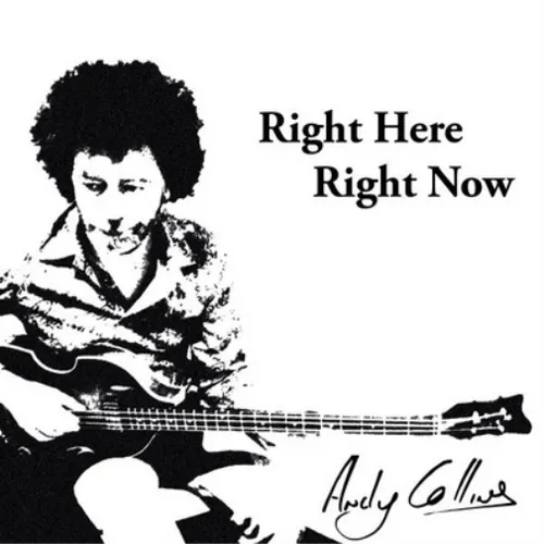 Andy Collins Right Here, Right Now (CD) Album