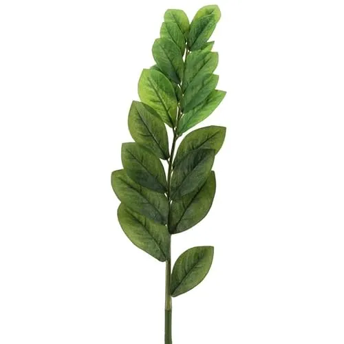 Floratexx Künstlicher ZAMIOCULCA Zweig, Glücksfeder, Gesamtlänge ca 85-90 cm.. Beiwerk in grün, 32020 07