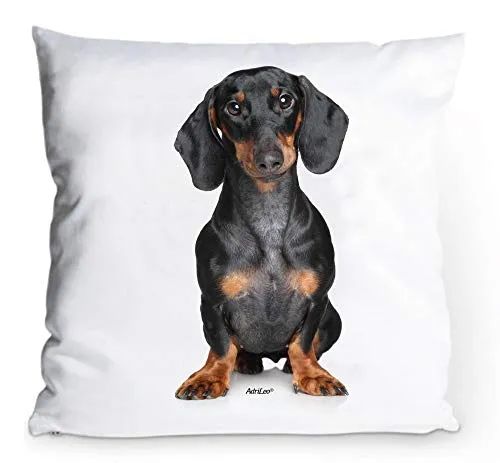 AdriLeo Kissenbezug 40x40cm Kurzhaar Dackel