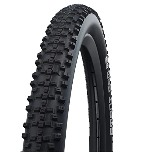 Schwalbe SMART SAM Perf 28