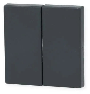 Inprojal System 20.000 Flächendoppelwippe für Serienschalter, schiefergrau