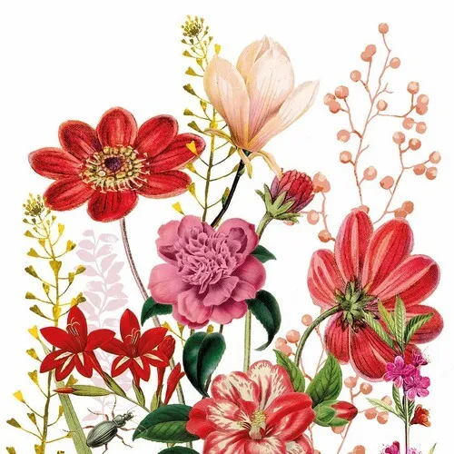 Servietten Floria Blumen Blüten Garten Natur Sommerwiese rot weiß 33x33cm 20