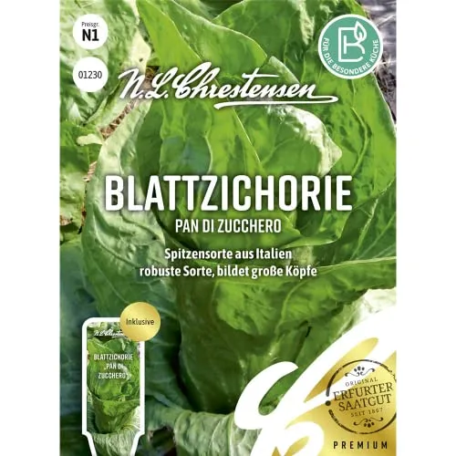 Endivie Breedblad Volhart Winter Samen, Saatgut