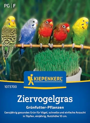 Kiepenkerl Ziervogelgrassamen Frischgrün Mischung 1073700 – ganzjährig - gesund - schnell und einfach - einjährig - Anzucht in Töpfen - Saatgut, Grassamen
