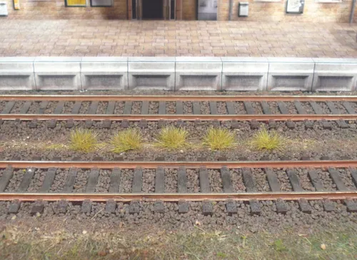 HEKI 1802 Grasbüschel Herbst 5-6 mm 100 Stück NEU