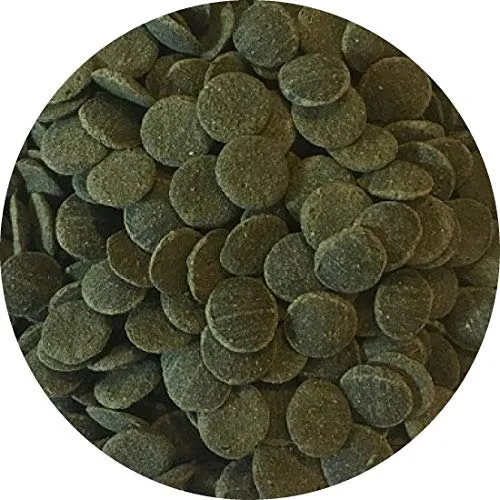 Fischfutter Futtertabletten Wafer MINI Spirulina-Algen Wafers Welstabletten Ø1cm (500ml)