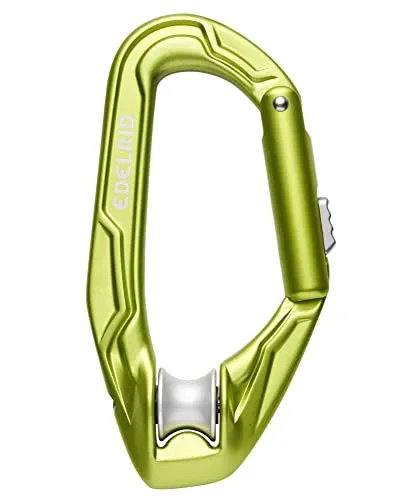 Edelrid Axiom Slider Schnappkarabiner in grün von EDELRID