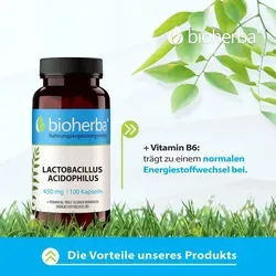 Lactobacillus Acidophilus 450 mg 100 Kapseln PZN 19642824