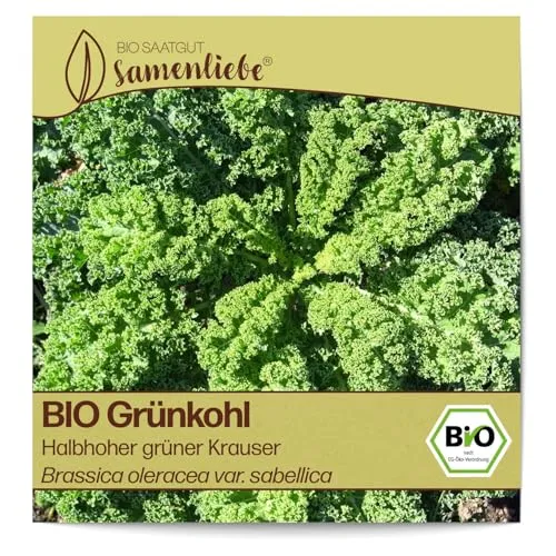Samenliebe BIO Grünkohl Samen alte Sorte Halbhoher grüner Krauser würziger Winterkohl halbhoch Wintergemüse grün 200 Samen samenfestes Gemüse Saatgut für Gewächshaus Freiland und Balkon winterhart