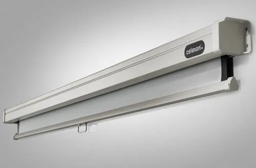 Celexon Rollo Professional 1090048 - Rolloleinwand 290 x 290 cm, hochwertige Qualität für Heimkino und Seminarräume, lichtundurchlässige Rückseite und mehrstufig arretierbar