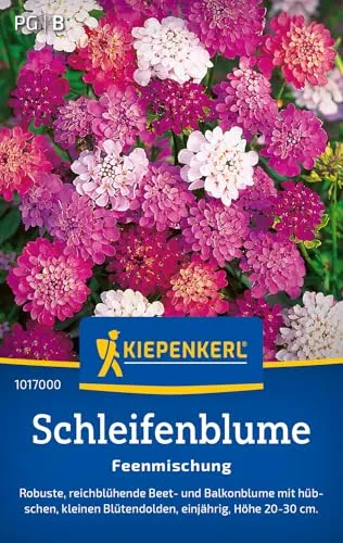 Kiepenkerl Schleifenblumesamen Feenmischung 1017000 - Einjährige Blumensamen mit einer Wuchshöhe von 20 bis 30cm und einem Inhalt für 90 Pflanzen - Saatgut