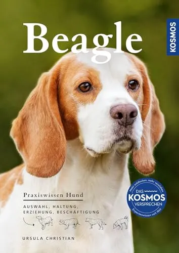 Beagle: Auswahl, Haltung, Erziehung, Beschäftigung (Praxiswissen Hund)