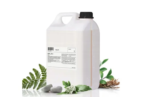 Sarcia.eu Duschgel PRIJA 2in1-Flüssigshampoo und Duschgel mit Ginseng-Extrakt, vegan