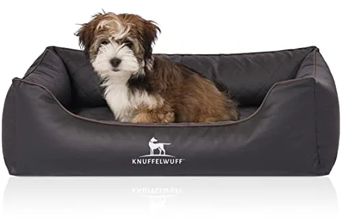 Hundebetten Schwarz von Knuffelwuff