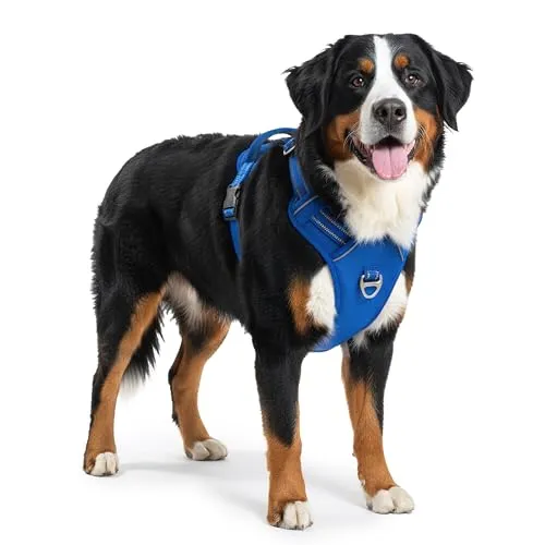 Reichstadt Pets Hundegeschirr – Verstellbares No-Pull Geschirr mit Griff & Reflektoren | Atmungsaktiv, Gepolstert & Strapazierfähig | Sicherheitsgeschirr für Große Hunde 25RSP083 Blue L