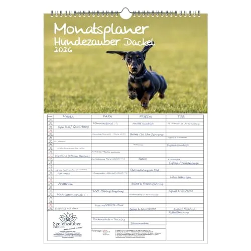 Hundezauber Dackel Planer Familienplaner 4 Spaltenplaner DIN A3 Kalender für 2026 Welpen und Hunde - Seelenzauber