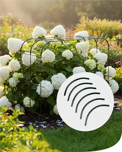 bellissa von bellissa