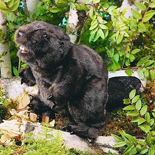 Folkmanis Handpuppe Biber 2245 von Folkmanis