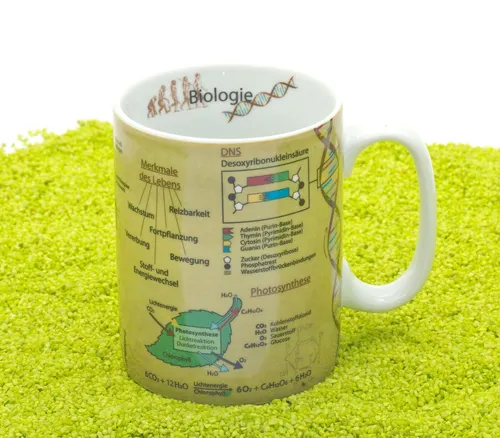 Könitz Porzellan Becher Wissensbecher Biologie 490 ml von Könitz