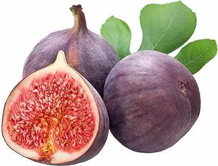 Feige 'Brown Turkey' – Ficus Carica, winterhart mit essbaren Früchten - Blumen & Stauden – Robuste, selbstfruchtende Feige mit süßen, saftigen Früchten und Winterhärte bis -15 °C, ideal für Garten und Balkon.