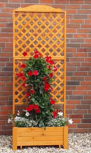promadino Spalier Romantica mit Pflanzkasten - Pflanzenkästen & Spaliere, winterfestes und witterungsbeständiges Holzspalier in honigbraun, ideal für Garten und Terrasse.