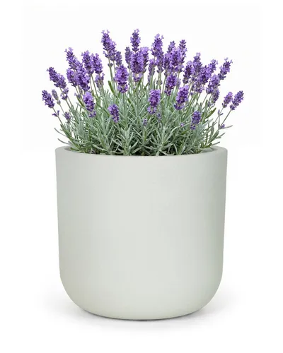 Eleganter Pflanzentopf für Terrasse und Balkon, 30x30x28 cm, Weiß - Vielseitiger Blumentopf für drinnen und draußen, ideal für kreative Pflanzenarrangements und stimmungsvolle Akzente in Ihrem Zuhause.