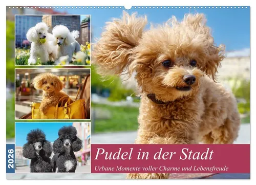 Rose Hurley | Pudel in der Stadt - Kalender 2025 - Entdecken Sie 14 charmante Seiten mit eleganten Pudel-Motiven, die das urbane Leben einfangen. Ein perfektes Geschenk für Hundefreunde und Liebhaber des städtischen Lebensstils.