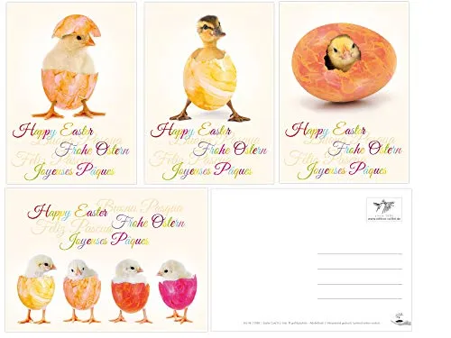 Edition Colibri Lustiges Osterkarten-Set mit 12 Osterpostkarten (4 Motive mit je 3 St.), liebevoll gestaltet witzige Grusskarten zu Ostern (11065-11068)