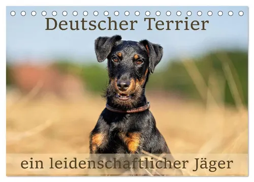 Monika Scheurer | Deutscher Terrier Kalender 2025 - Kalender 2025, 14 Seiten über den deutschen Terrier, ideal für Hundefreunde und Jagdliebhaber. Ein Muss für jeden, der die Leidenschaft für diesen einzigartigen Hund teilt.