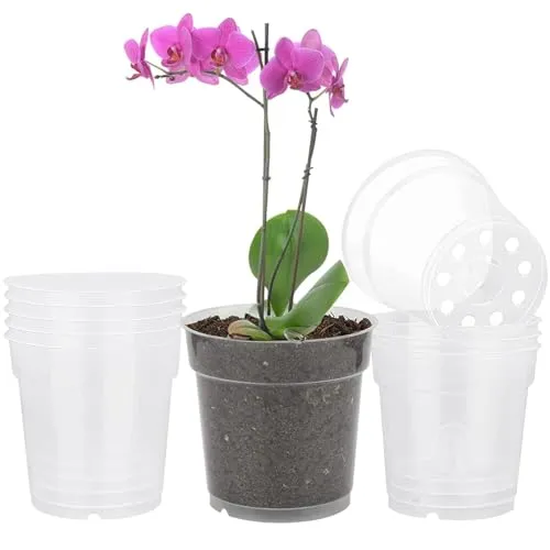 TSKDKIT 10 Stück Orchidee Pflanztöpfe 11.5cm Transparent Blumentopf Orchidee Anzuchttöpfe Verdicken töpfe Einpflanzen für Sämlinge Miniaturpflanzen Drinnen und Draußen