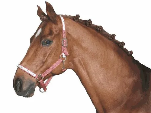 Kerbl Pferde-Mähnengummi, weiß