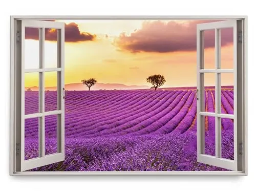Paul Sinus Wandbild 120x80cm Fensterbild Lavendel Lavendelfeld Farbenfroh Sonnenuntergang