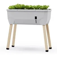 Gusta Garden Hochbeet SAMMY SALAT - Platzsparendes Hochbeet mit Wassertank - Hochbeet für Balkon oder Terrasse, ermöglicht ganzjähriges Anbauen von Salaten und Kräutern, inkl. Wassertank für optimale Bewässerung und einfache Pflege.
