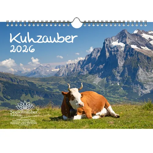 Kuhzauber DIN A4 Kalender für 2026 Kühe Rind Kalb - Seelenzauber