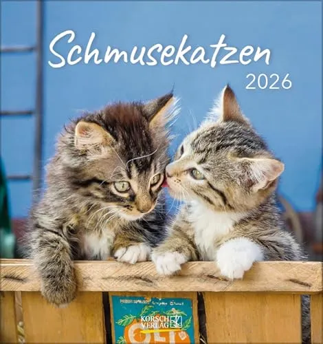 Schmusekatzen 2026: aufstellbarer Postkartenkalender
