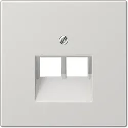 Jung LS969-2UALG Abdeckung für IAE/UAE-Anschlussdosen 2 x 8-polig, Thermoplast, Serie LS, lichtgrau